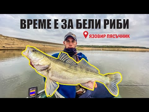Видео: ВРЕМЕ е за БЕЛИ РИБИ. ЯЗОВИР ПЯСЪЧНИК