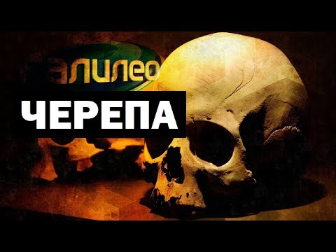 Видео: Галилео. Черепа 💀 Skulls