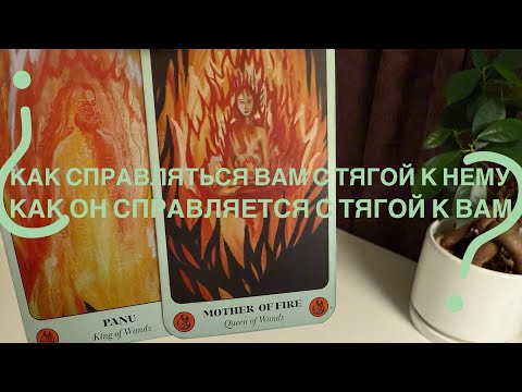 Видео: Как справляться вам с тягой к нему? Как он справляется с тягой к вам?