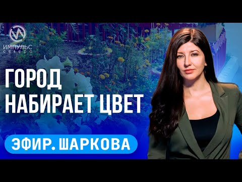 Видео: Эфир. Зелёный вандализм. Ночь – не для прогулки. Бальные танцы.