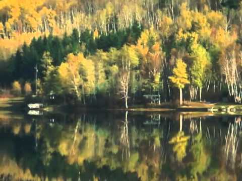 Видео: В гармонии с природой (music by Sri Chinmoy)