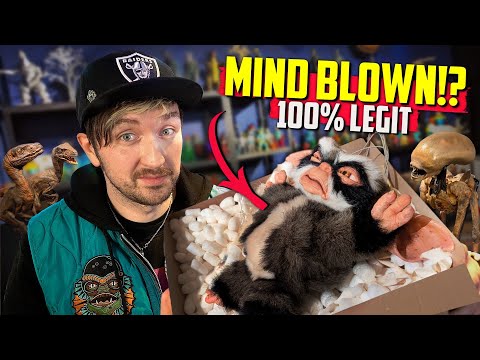 Видео: Здесь вы найдёте редчайший реквизит из голливудских фильмов! «Чужие», «Парк Юрского периода», «Гр...