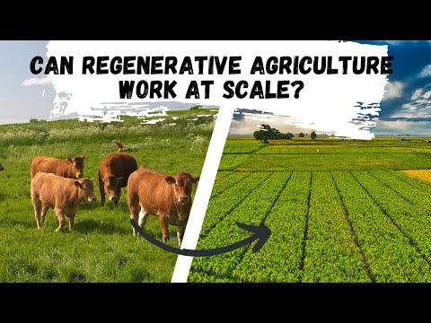 Видео: Может ли регенеративное сельское хозяйство работать в больших масштабах? И нужно ли это?