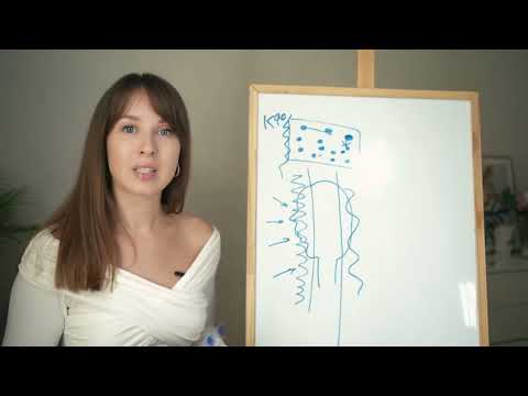 Видео: ТРАНС / КАК ЭТО РАБОТАЕТ