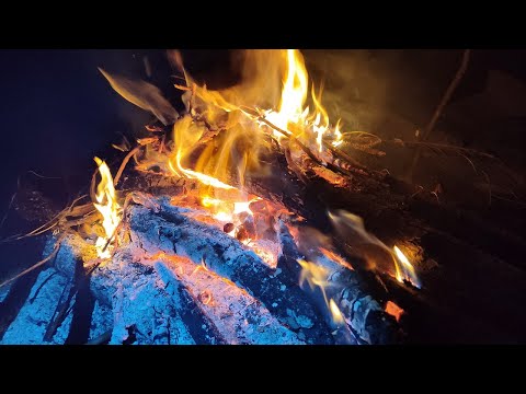 Видео: Рыбалка на острове с ночёвкой. Отличный поход и вкусная еда на костре.