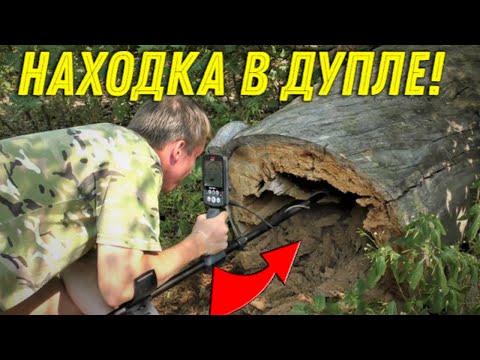 Видео: НАХОДКА в Струхшем ДЕРЕВЕ УДИВИЛА, Удачный ПОИСК на ЛЕСНЫХ ДОРОГАХ!!!