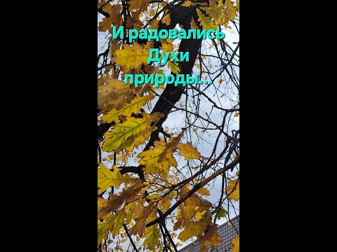 Видео: И радовались Духи природы. Энергоработа ВселеннаяЯ. #вселеннаяя, #переход, #трансформации