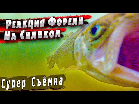 Видео: Игра Приманок под Водой | Форель со Льда | Форель на Силикон