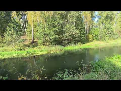 Видео: Река Уводь. ч.2. Сентябрь 2025