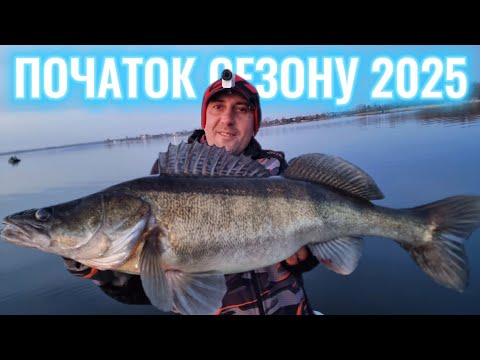 Видео: Трофейна риболовля ⚡ Як ловити судака на початку весни?