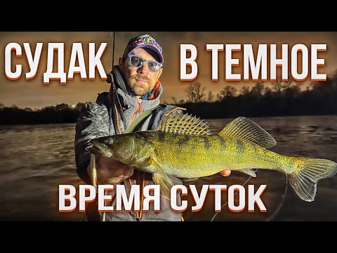 Видео: Рыбалка на судака в темное время суток / Как он клюет на таких проводках?!