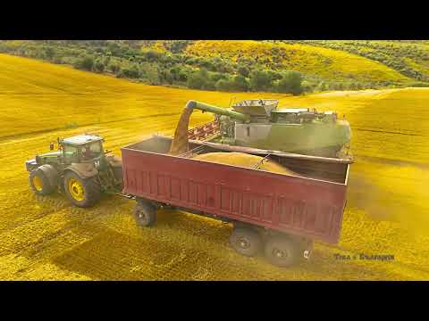 Видео: Жътва