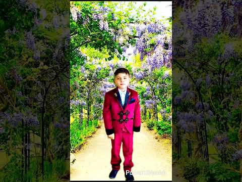 Видео: О феркей Ле габиско песня богар