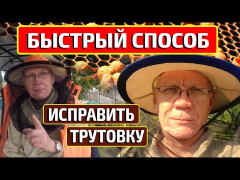 Видео: Самый БЫСТРЫЙ Способ. Как исправляем СЕМЬЮ Трутовку у нас на пасеке?