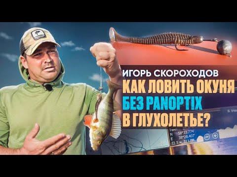 Видео: КАК ЛОВИТЬ ОКУНЯ В ГЛУХОЛЕТЬЕ БЕЗ ПАНОПТИКСА | Игорь Скороходов