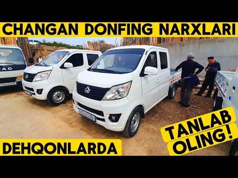Видео: ДЕХҚОНЛАРДАН ЧАНГАН ДОНФИНГ ШИНЕРАЙ НАРХЛАРИ  ХАР ХИЛИДАН ЧИҚИБТИ 2025