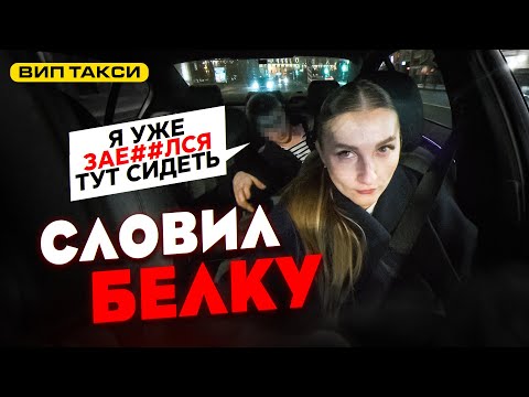 Видео: Неадекват СЛОВИЛ БЕЛКУ в ВИП ТАКСИ / Лёля Такси