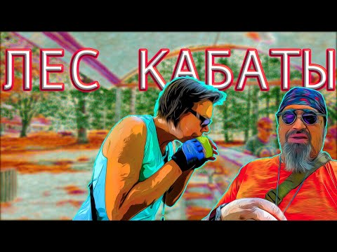 Видео: Лес Кабаты: история тайны и природная гармония под Варшавой