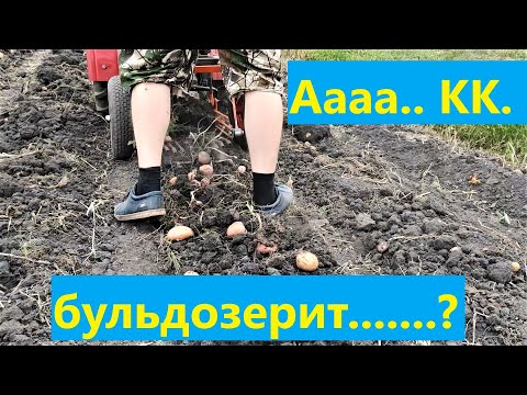 Видео: больше не бульдозерит  КК  2020