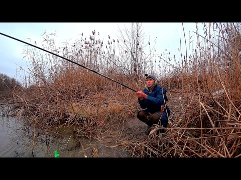 Видео: ПОПЛАВОК УНОСИТ. РЫБЫ ТЬМА. БЕШЕНЫЙ КЛЕВ ПОД САМЫМ БЕРЕГОМ. Рыбалка на поплавок в конце осени.
