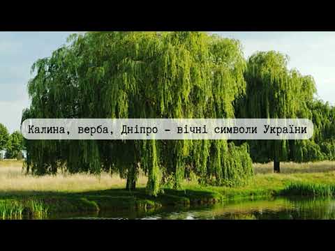 Видео: Державні символи   це душа народу