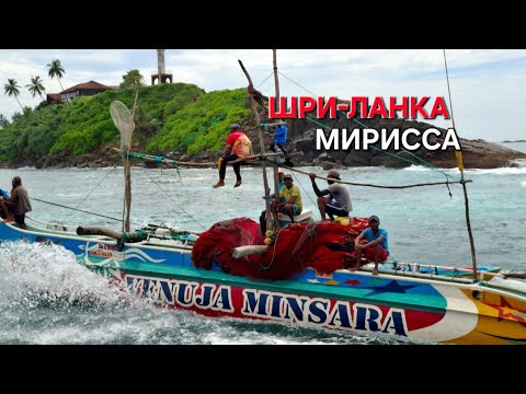 Видео: МИРИССА. Закат на Coconut tree hill. Тур на китов... ШРИ-ЛАНКА