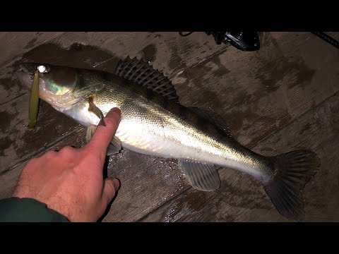Видео: ЭТИ ВОБЛЕРЫ НА СУДАКА УЖЕ ВСЕ В ШРАМАХ