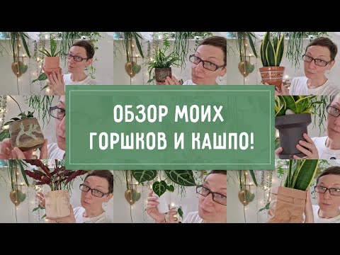 Видео: Обзор моих ГОРШКОВ и КАШПО