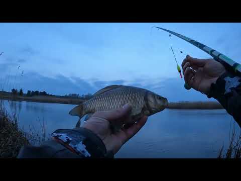 Видео: ВОТ ЭТО ВЫХОД КРУПНЯКА РАННИМ УТРОМ!!РЫБАЛКА НА ПОПЛАВОК.РЫБАЛКА НА ПОПЛАВОК ВЕСНОЙ 2025