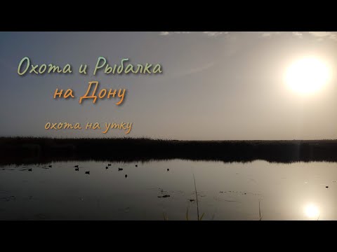 Видео: Два дня охоты на утку с Сайгой 20с и Huglu Renova