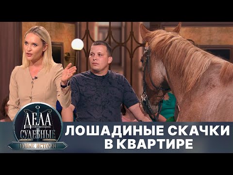 Видео: Дела судебные с Еленой Кутьиной. Новые истории. Эфир от 24.09.24