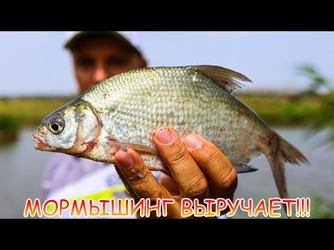 Видео: Мормышинг выручает!!! Лещи, густера и караси на МОМРО! Рабочие приманки!