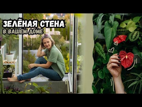 Видео: Зелёная стена в вашем доме / Как ухаживать / Что учесть / Как озеленять стены в доме