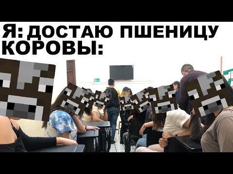 Видео: Мемы | Дневная подборка мемов 230