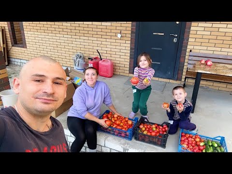 Видео: Такого мы не ожидали! Собрали урожай. Ремонт продолжается. Строим дом в деревне. Жизнь простых людей