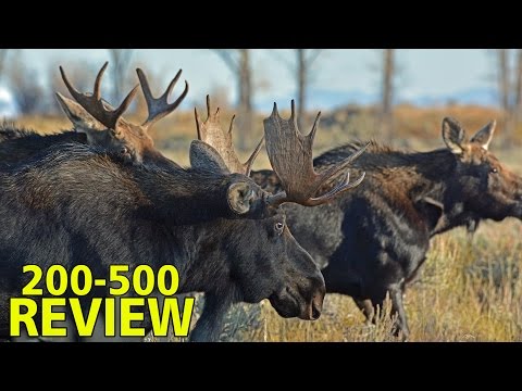 Видео: ОБЗОР Nikon Nikkor 200-500 f5.6