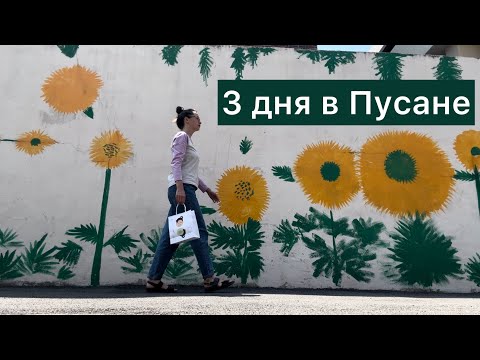 Видео: 3 дня в Пусане: где жить; куда сходить; что посмотреть