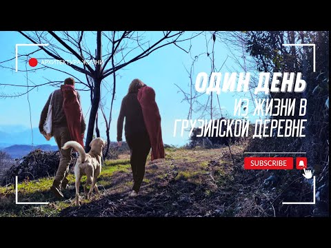 Видео: #21 ОДИН ДЕНЬ ИЗ ЖИЗНИ В ГРУЗИНСКОЙ ДЕРЕВНЕ