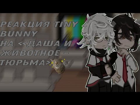 Видео: реакция tiny bunny на «Даша и животное - тюрьма»