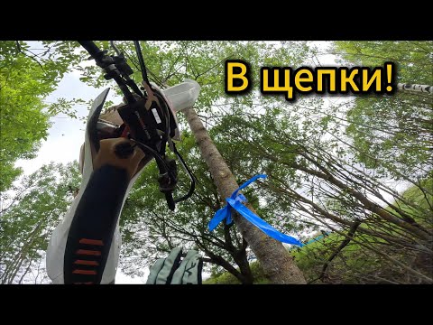 Видео: В щепки ! 2 этап 02.08.2025г. Зарайск