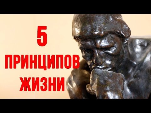 Видео: ВАЖНЕЙШИЕ ПРИНЦИПЫ ЖИЗНИ. Как стать лучше?