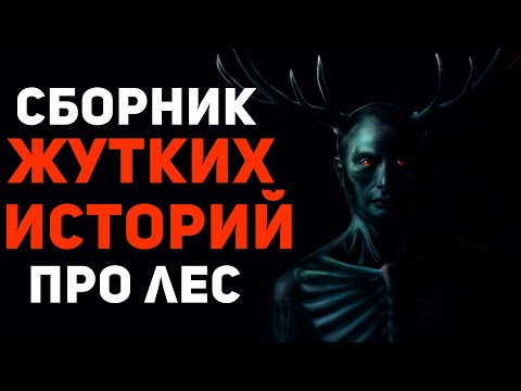 Видео: СБОРНИК ЖУТКИХ ИСТОРИЙ ПРО ЛЕС 🌳
