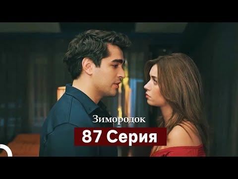 Видео: Зимородок 87 Cерия (Русский дубляж)