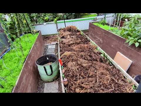 Видео: Стань агрономом.