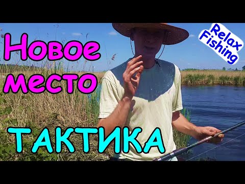 Видео: 🎣 ТАКТИКА ловли на НЕЗНАКОМОМ водоёме. Поиск рыбы и места ловли. Рыбалка в нерест по холодной воде.