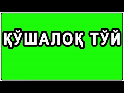 Видео: Qo'shaloq to'y | Қўшалок тyй