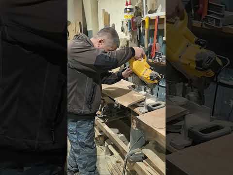 Видео: лес, я и кинам #жиза