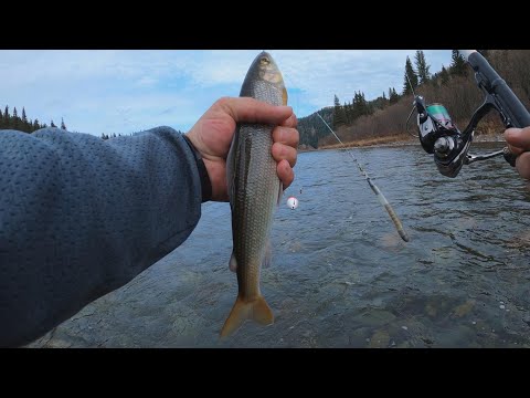 Видео: У кого ПЕРВЫЙ ЛЁД, а мы ещё по ОТКРЫТОЙ ВОДЕ ЛОВИМ!!! Рыбалка| Отдых| Быт в ТАЙГЕ| Баня