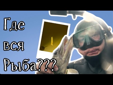 Видео: Есть следы но нет рыбы! Где искать? Подводная охота в нашем водохранилище.