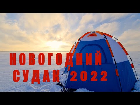 Видео: СУДАК порадовал к Новогоднему столу! Ночная рыбалка на Яузском вдхр  на жерлицы!